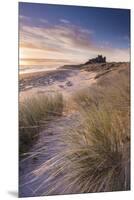 Coastal Castle-Adam Burton-Mounted Giclee Print