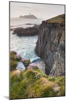 Coastal Cliffs, Godrevy Point, Nr St Ives, Cornwall, England-Paul Harris-Mounted Photographic Print