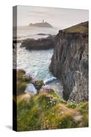 Coastal Cliffs, Godrevy Point, Nr St Ives, Cornwall, England-Paul Harris-Stretched Canvas