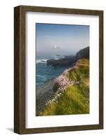 Coastal Cliffs, Godrevy Point, Nr St Ives, Cornwall, England-Paul Harris-Framed Photographic Print