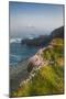 Coastal Cliffs, Godrevy Point, Nr St Ives, Cornwall, England-Paul Harris-Mounted Photographic Print