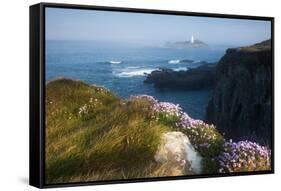 Coastal Cliffs, Godrevy Point, Nr St Ives, Cornwall, England-Paul Harris-Framed Stretched Canvas