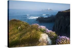 Coastal Cliffs, Godrevy Point, Nr St Ives, Cornwall, England-Paul Harris-Stretched Canvas