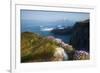 Coastal Cliffs, Godrevy Point, Nr St Ives, Cornwall, England-Paul Harris-Framed Photographic Print