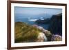 Coastal Cliffs, Godrevy Point, Nr St Ives, Cornwall, England-Paul Harris-Framed Photographic Print