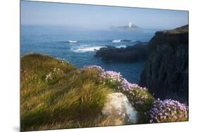 Coastal Cliffs, Godrevy Point, Nr St Ives, Cornwall, England-Paul Harris-Mounted Photographic Print