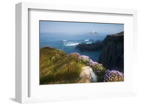 Coastal Cliffs, Godrevy Point, Nr St Ives, Cornwall, England-Paul Harris-Framed Photographic Print