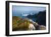 Coastal Cliffs, Godrevy Point, Nr St Ives, Cornwall, England-Paul Harris-Framed Photographic Print