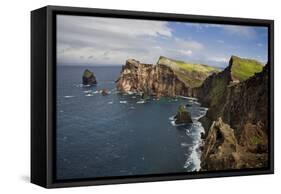 Coastal Cliffs, Ponta De Sao Lourenco, Madeira, March 2009-Radisics-Framed Stretched Canvas