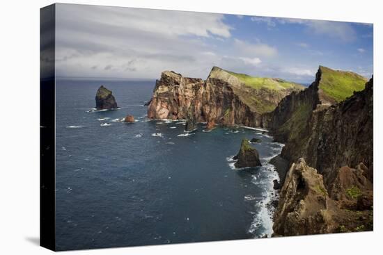 Coastal Cliffs, Ponta De Sao Lourenco, Madeira, March 2009-Radisics-Stretched Canvas