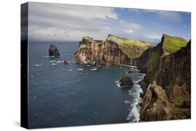 Coastal Cliffs, Ponta De Sao Lourenco, Madeira, March 2009-Radisics-Stretched Canvas