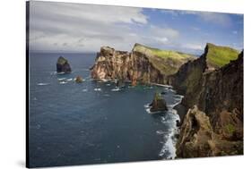 Coastal Cliffs, Ponta De Sao Lourenco, Madeira, March 2009-Radisics-Stretched Canvas