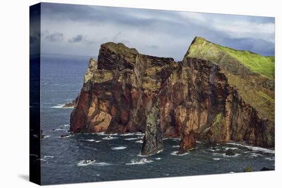 Coastal Cliffs, Ponta De Sao Lourenco, Madeira, March 2009-Radisics-Stretched Canvas