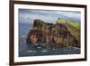 Coastal Cliffs, Ponta De Sao Lourenco, Madeira, March 2009-Radisics-Framed Photographic Print