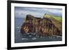 Coastal Cliffs, Ponta De Sao Lourenco, Madeira, March 2009-Radisics-Framed Photographic Print