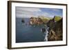 Coastal Cliffs, Ponta De Sao Lourenco, Madeira, March 2009-Radisics-Framed Photographic Print