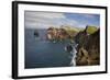 Coastal Cliffs, Ponta De Sao Lourenco, Madeira, March 2009-Radisics-Framed Photographic Print