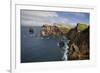 Coastal Cliffs, Ponta De Sao Lourenco, Madeira, March 2009-Radisics-Framed Photographic Print