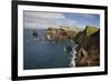 Coastal Cliffs, Ponta De Sao Lourenco, Madeira, March 2009-Radisics-Framed Photographic Print