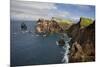 Coastal Cliffs, Ponta De Sao Lourenco, Madeira, March 2009-Radisics-Mounted Photographic Print