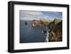 Coastal Cliffs, Ponta De Sao Lourenco, Madeira, March 2009-Radisics-Framed Photographic Print