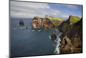 Coastal Cliffs, Ponta De Sao Lourenco, Madeira, March 2009-Radisics-Mounted Photographic Print