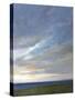 Coastal Clouds Diptych II-Sheila Finch-Stretched Canvas