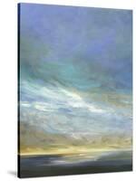 Coastal Clouds Triptych II-Sheila Finch-Stretched Canvas