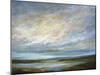 Coastal Clouds VI-Sheila Finch-Mounted Premium Giclee Print