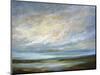 Coastal Clouds VI-Sheila Finch-Mounted Art Print