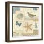 Coastal Collage IV-Pela Design-Framed Art Print