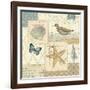 Coastal Collage IV-Pela Design-Framed Art Print