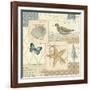 Coastal Collage IV-Pela Design-Framed Art Print