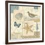 Coastal Collage IV-Pela Design-Framed Art Print