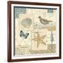 Coastal Collage IV-Pela Design-Framed Art Print