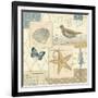 Coastal Collage IV-Pela Design-Framed Art Print