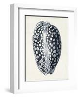 Coastal Collection in Indigo III-Vision Studio-Framed Art Print