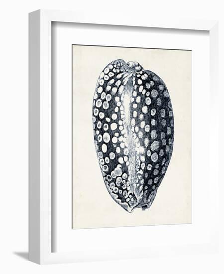 Coastal Collection in Indigo III-Vision Studio-Framed Art Print