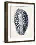 Coastal Collection in Indigo III-Vision Studio-Framed Art Print