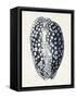 Coastal Collection in Indigo III-Vision Studio-Framed Stretched Canvas