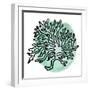 Coastal Contours IV-Elizabeth Medley-Framed Art Print