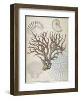 Coastal Coral-Lula Bijoux-Framed Art Print