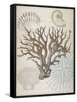 Coastal Coral-Lula Bijoux-Framed Stretched Canvas