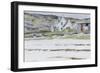 Coastal Cottages-Francis Campbell Boileau Cadell-Framed Giclee Print