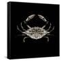 Coastal Crab 3-Victoria Brown-Framed Stretched Canvas