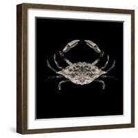 Coastal Crab 3-Victoria Brown-Framed Art Print