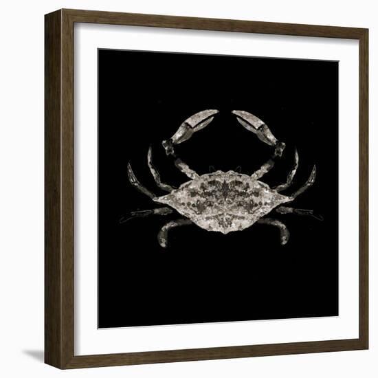Coastal Crab 3-Victoria Brown-Framed Art Print