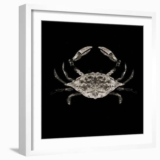 Coastal Crab 3-Victoria Brown-Framed Art Print