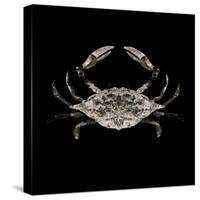 Coastal Crab 3-Victoria Brown-Stretched Canvas