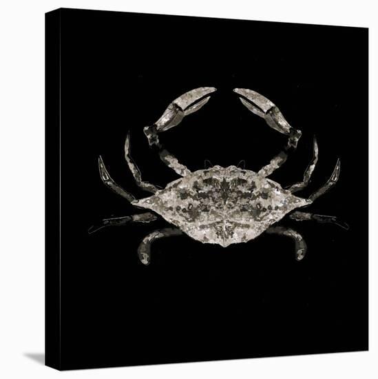 Coastal Crab 3-Victoria Brown-Stretched Canvas